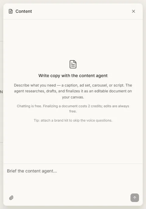 The content writer