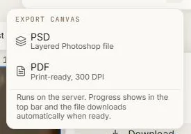 The canvas export options